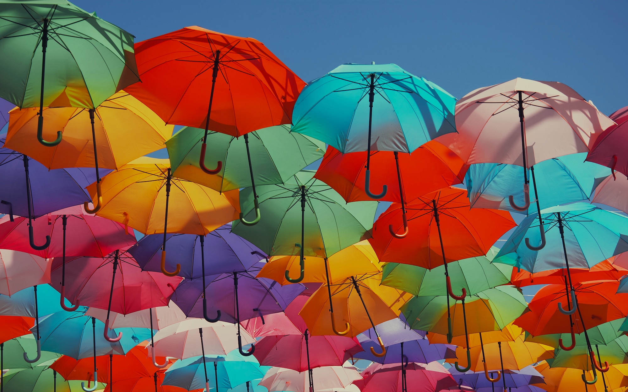 An array of colorful umbrellas